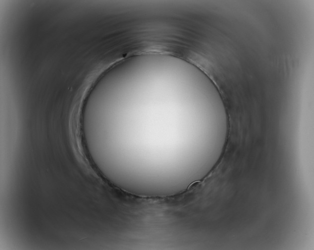 X0000089900289200707121854