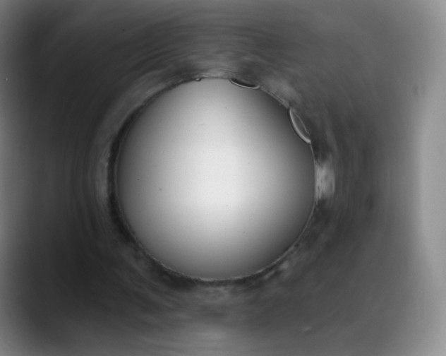 X0000089900291200707121854
