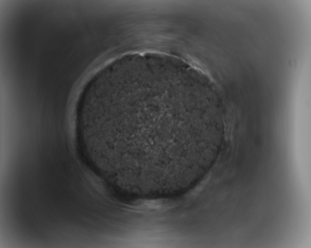X0000089900295200707121854