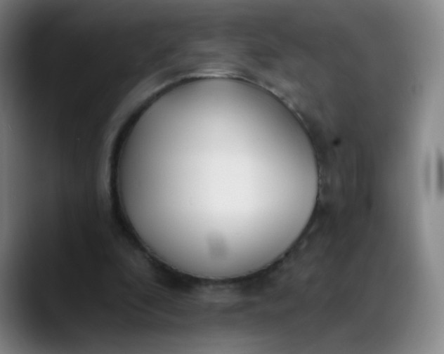 X0000089900296200707121854