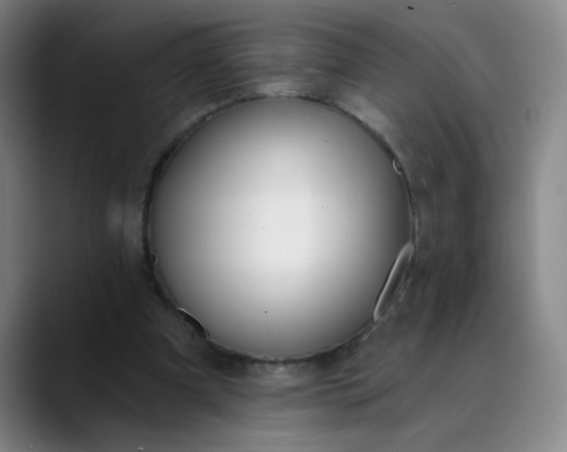 X0000089900297200707121854