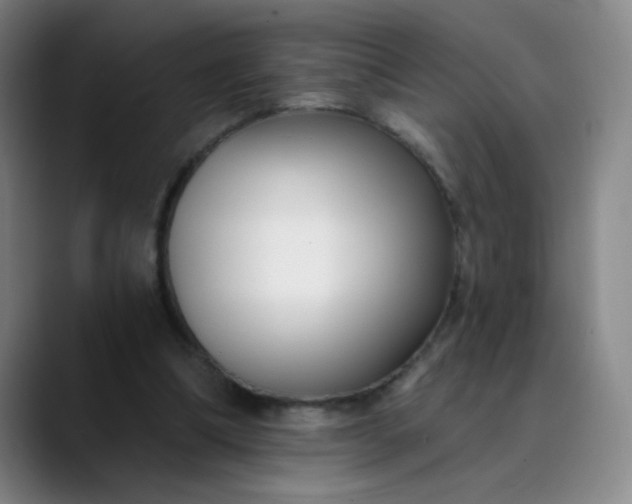X0000089900298200707121854