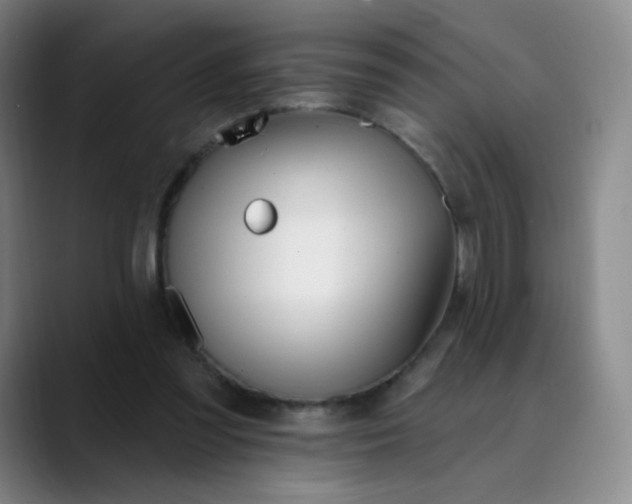 X0000089900301200707121854