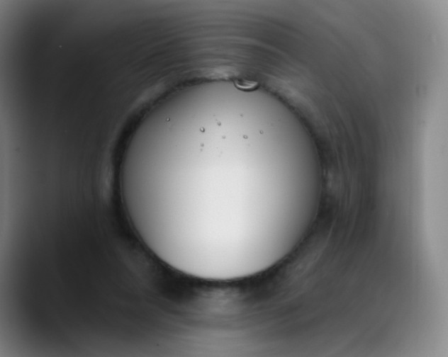 X0000089900304200707121854