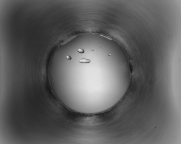 X0000089900306200707121854