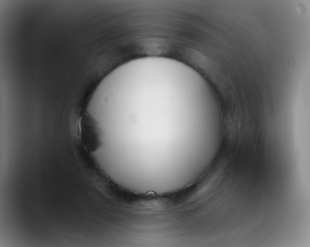 X0000089900307200707121854