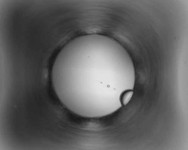 X0000089900308200707121854