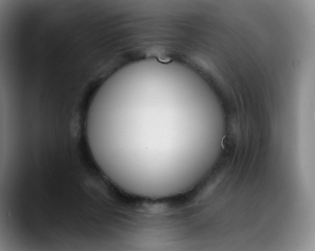 X0000089900311200707121854