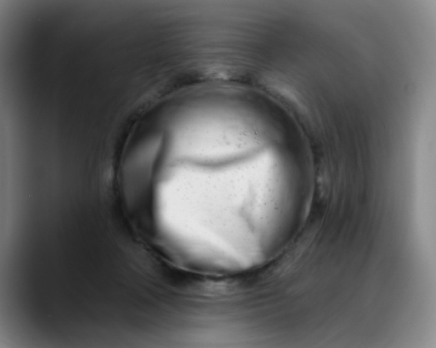 X0000089900314200707121854