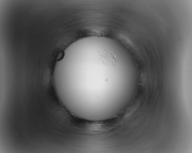 X0000089900318200707121854