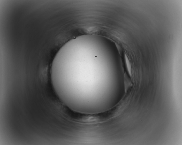 X0000089900319200707121854