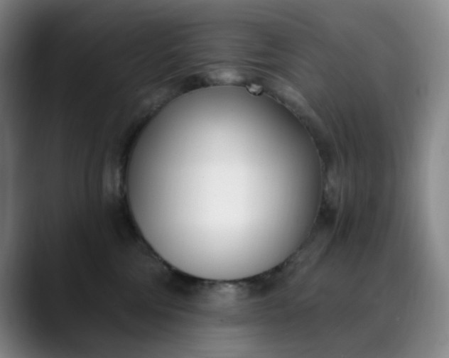 X0000089900330200707121854