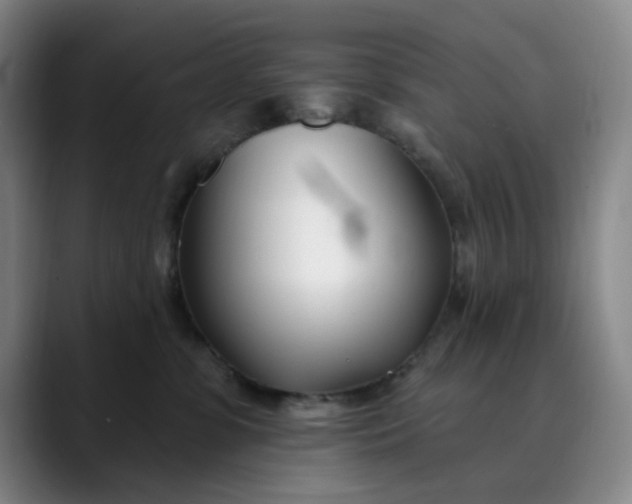 X0000089900331200707121854