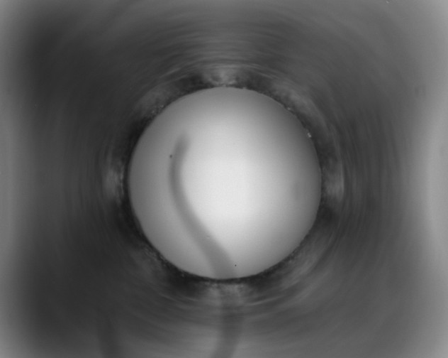 X0000089900332200707121854