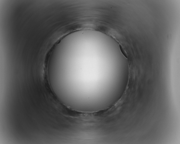 X0000089900338200707121853