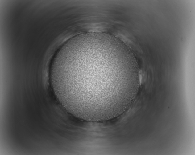 X0000089900339200707121853