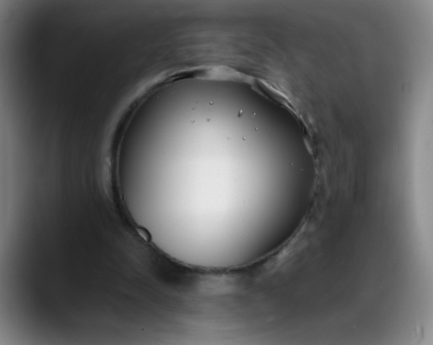 X0000089900342200707121853
