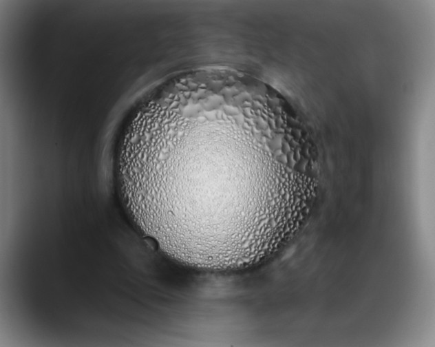 X0000089900343200707121853