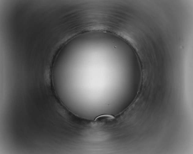 X0000089900345200707121853