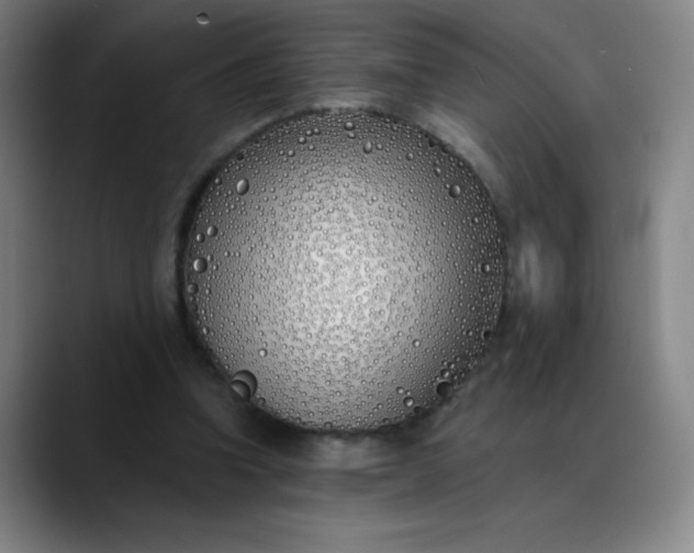 X0000089900346200707121853