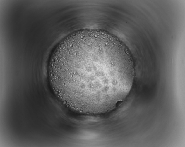 X0000089900347200707121853