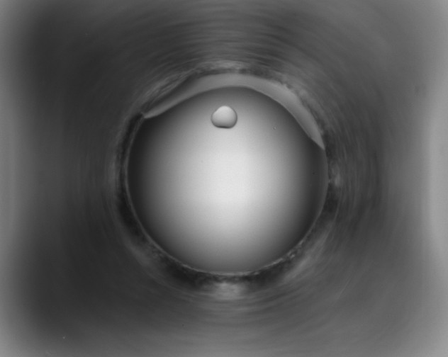 X0000089900352200707121853