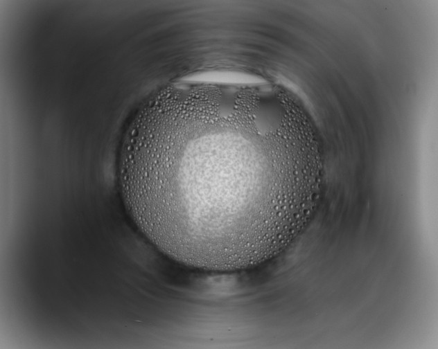 X0000089900353200707121853