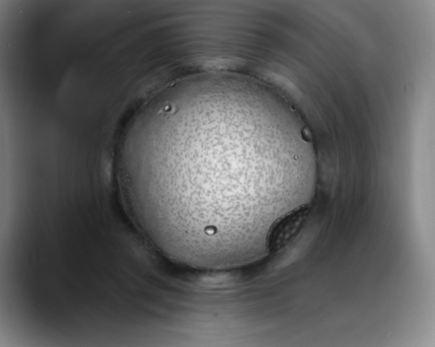 X0000089900357200707121854