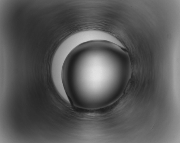 X0000089900360200707121854