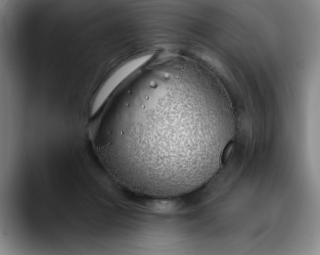 X0000089900361200707121854