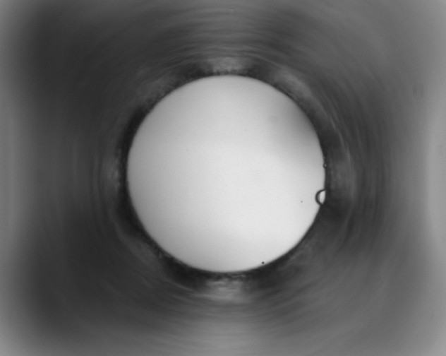 X0000089900362200707121854
