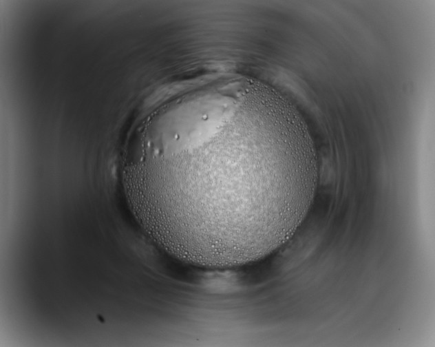 X0000089900363200707121854