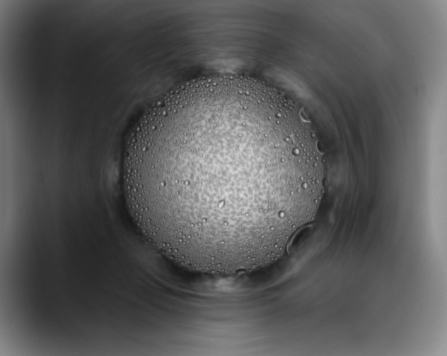 X0000089900365200707121854