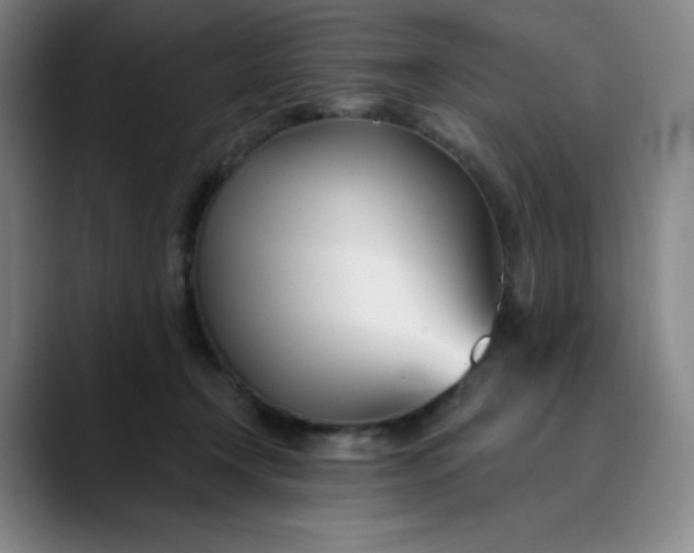 X0000089900366200707121854