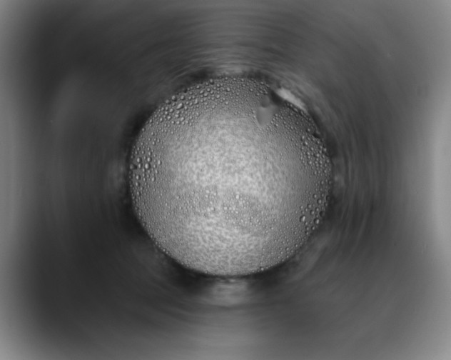 X0000089900369200707121854