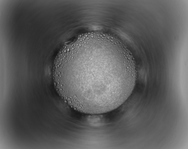 X0000089900373200707121854