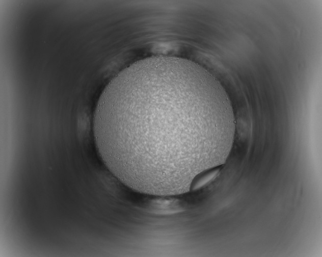X0000089900375200707121854