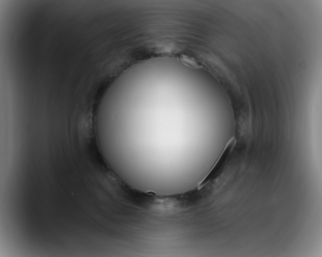 X0000089900376200707121854