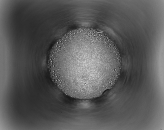 X0000089900377200707121854