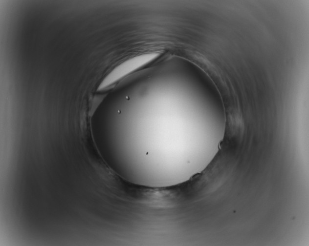 X0000089900379200707121854