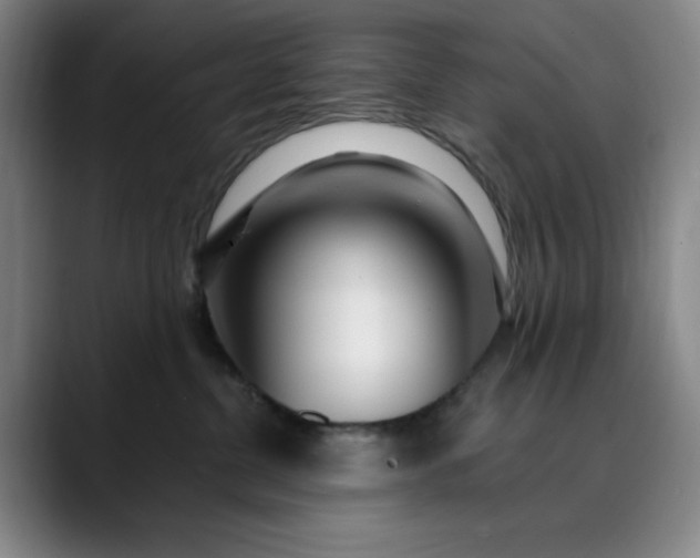 X0000089900380200707121854