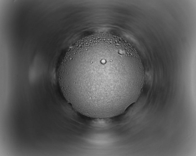 X0000089900381200707121854
