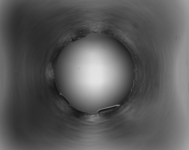 X0000089900384200707121854