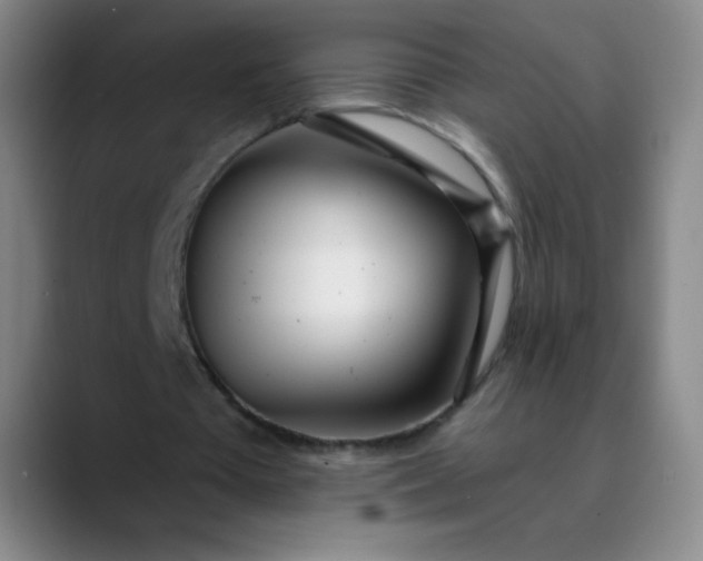 X0000089900385200707121853