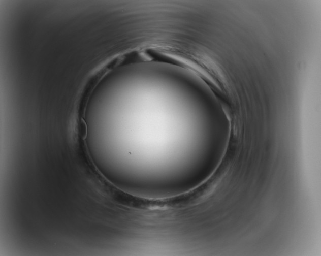 X0000089900388200707121853