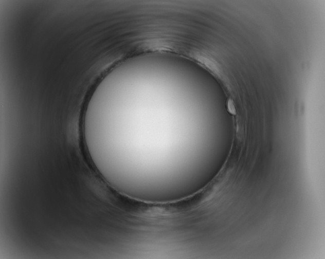 X0000089900390200707121853