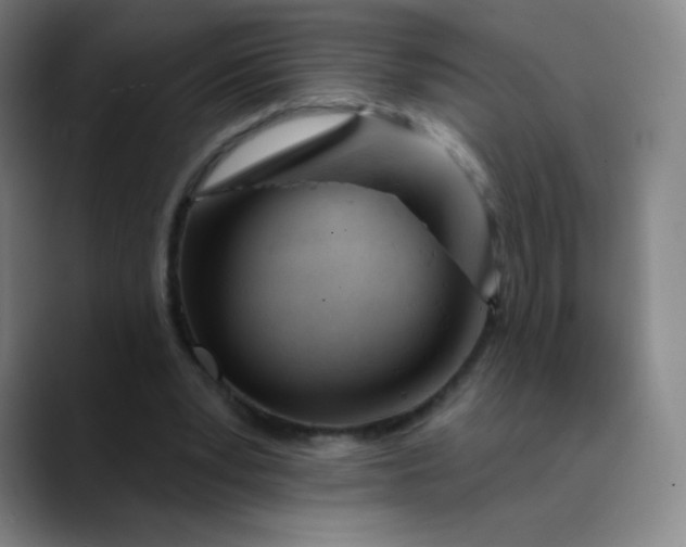 X0000089900391200707121853