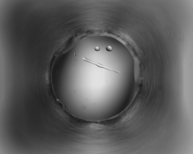X0000089900393200707121853
