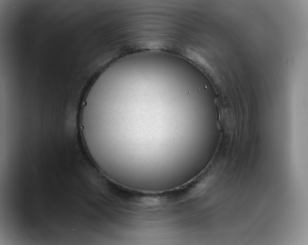 X0000089900394200707121853