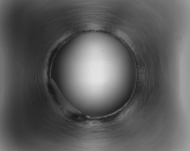 X0000089900395200707121853